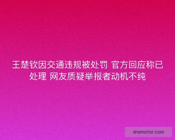 王楚钦因交通违规被处罚 官方回应称已处理 网友质疑举报者动机不纯